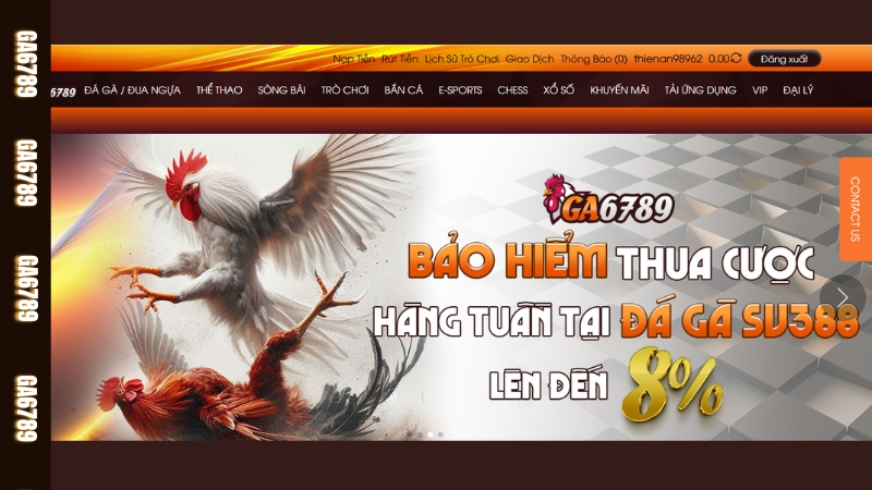 Giới thiệu Đá gà cựa dao Ga6789 Giới thiệu Đá gà cựa dao Ga6789