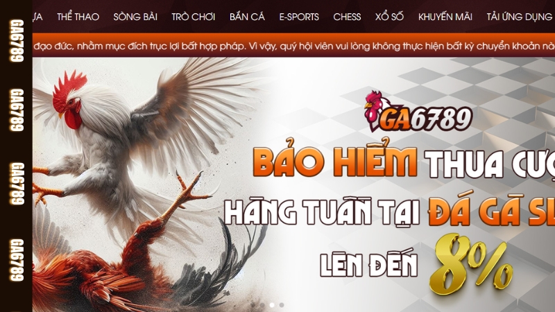 Nội dung điều khoản và điều kiện tại Ga6789 gồm những gì? Nội dung điều khoản và điều kiện tại Ga6789 gồm những gì?